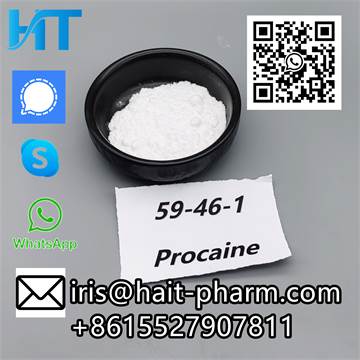 China Supplier Sell 99.9% Purity Powder Form CAS 59-46-1 Procaine